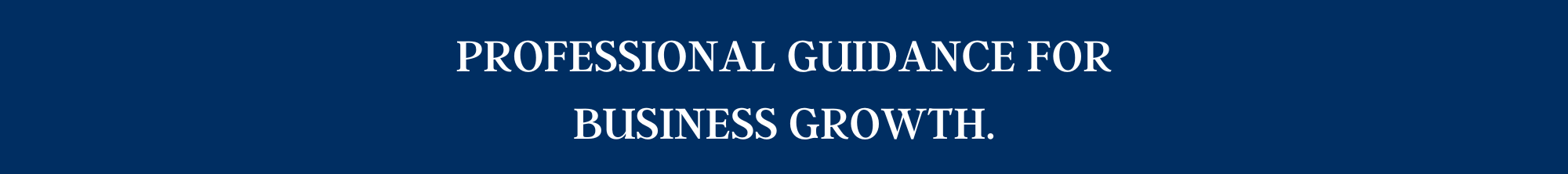 Professional Guidance for Business Growth Growth 